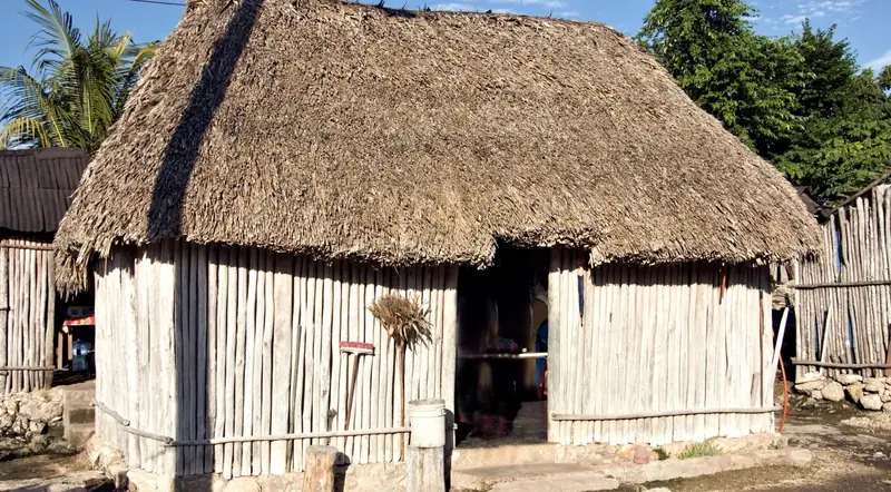 A traditional palapa-roofed home in the Yucatán countryside near Tulum